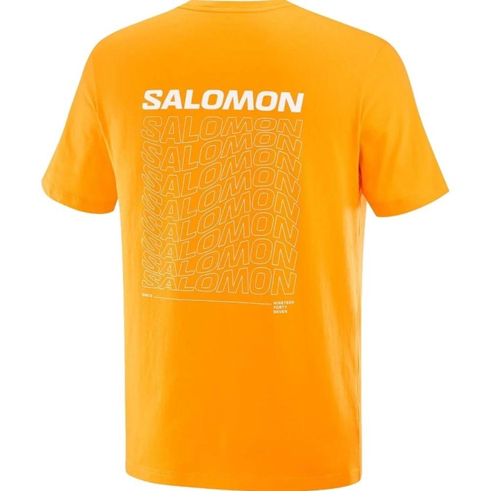 Salomon LC2219700 Graphic Perf SS Tee Tişört Erkek T-Shirt