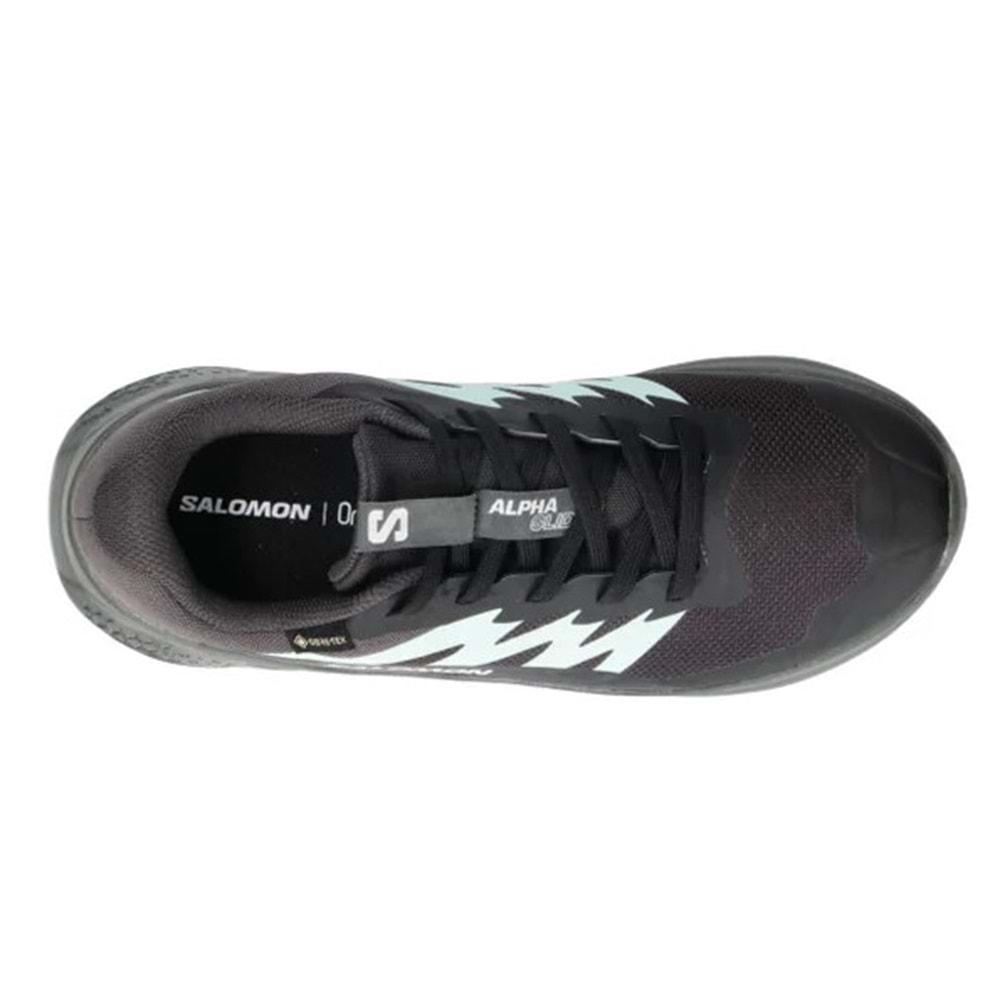 Salomon Alpha Glide Gtx W Gore-Tex® L47802400 Erkek Spor Ayakkabı