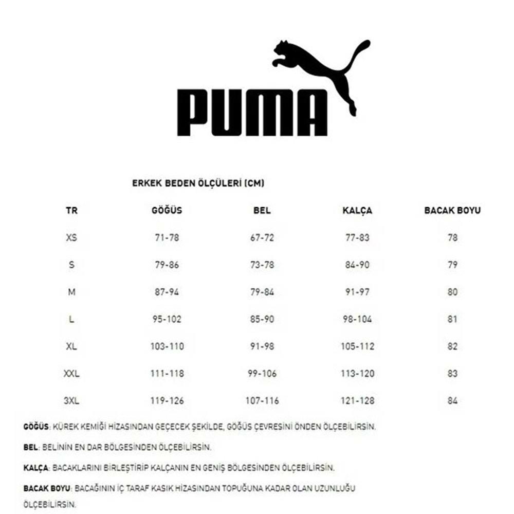 Puma 520314-01 Performance Ss Tee Tişort Erkek T-Shirt