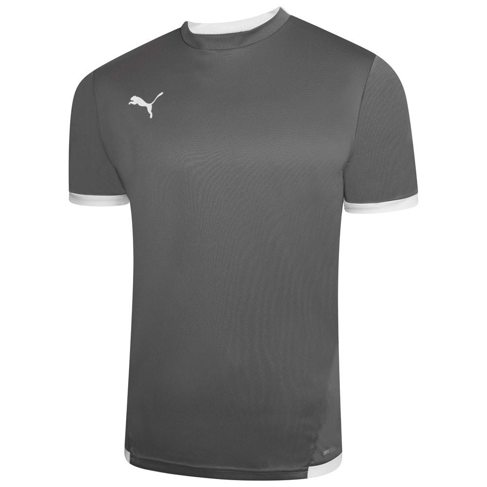 Puma 704917-13 Teamliga Jersey T-Shirt Dry-Cell Erkek Tişört