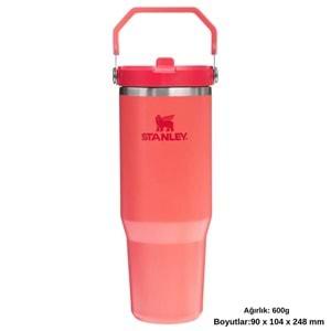 Stanley The IceFlow Flip Straw Pipetli Termos Bardak 0.89 LT Matara