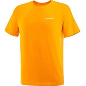 Salomon LC2219700 Graphic Perf SS Tee Tişört Erkek T-Shirt