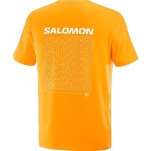 Salomon LC2219700 Graphic Perf SS Tee Tişört Erkek T-Shirt