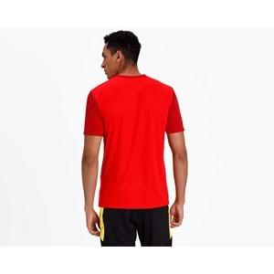 Puma 656484-01 Teamgoal 23 Sideline Tee T-Shirt Dry-Cell Erkek Tişört