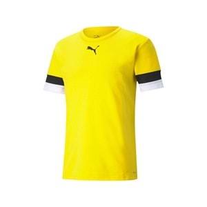 Puma 704932-07 Teamrise Jersey T-Shirt Dry-Cell Erkek Tişört