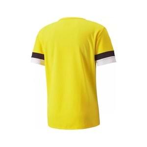 Puma 704932-07 Teamrise Jersey T-Shirt Dry-Cell Erkek Tişört