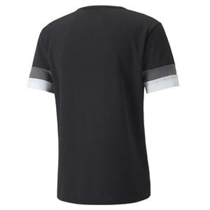 Puma 704932-03 Teamrise Jersey T-Shirt Dry-Cell Erkek Tişört